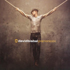 davidbisbal2006.jpg
