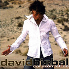 davidbisbal2002.jpg